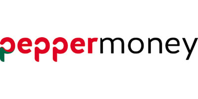 Non-Bank Partner